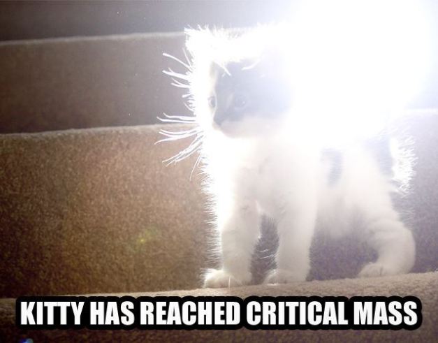 critical_mass_kitty